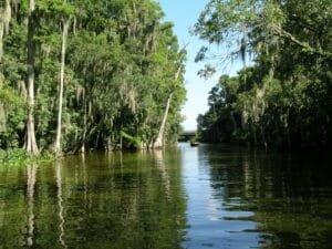 Dora Canal photo